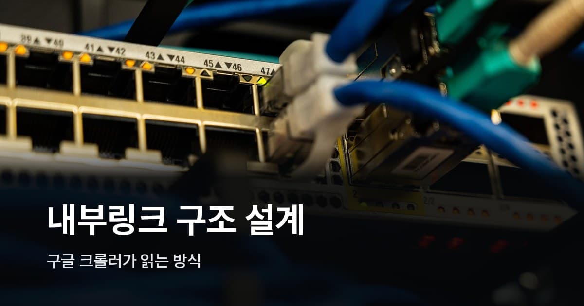 네트워크 스위치에 꽂힌 이더넷 케이블들