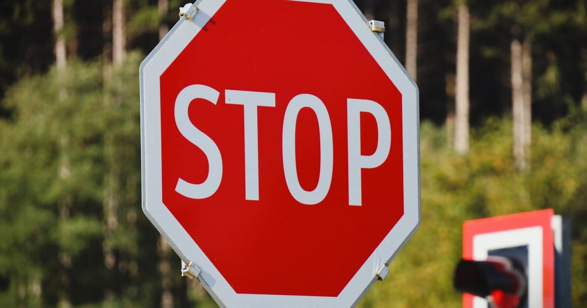 숲 앞에 세워진 빨간 STOP 표지판